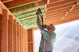 Best Insulation Air Sealing  in Ferrysburg, MI