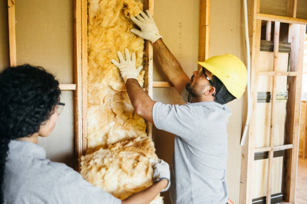 Ferrysburg, MI Insulation Installation & Removal Company